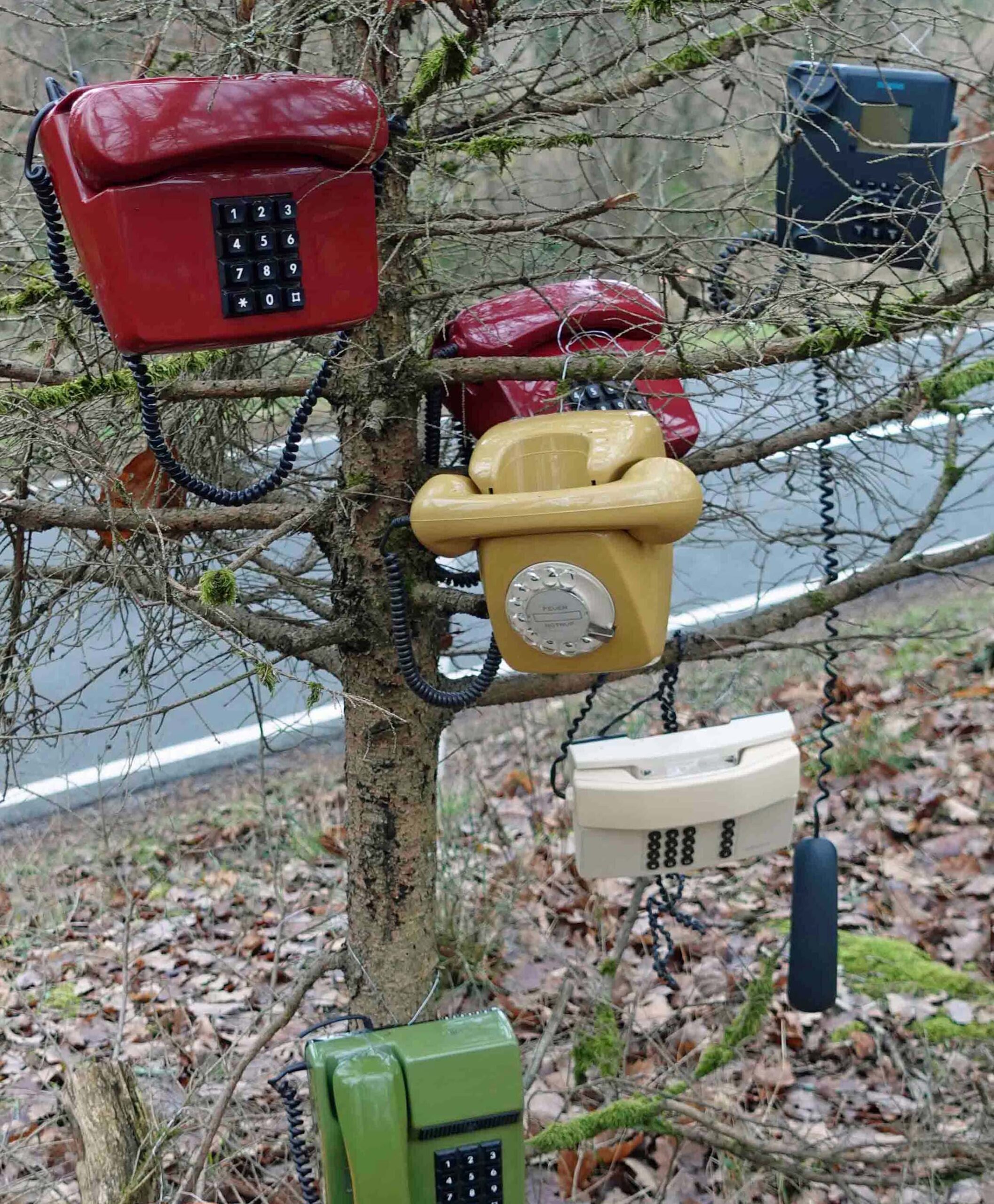 Reinhard Hölker, Telefonbaum