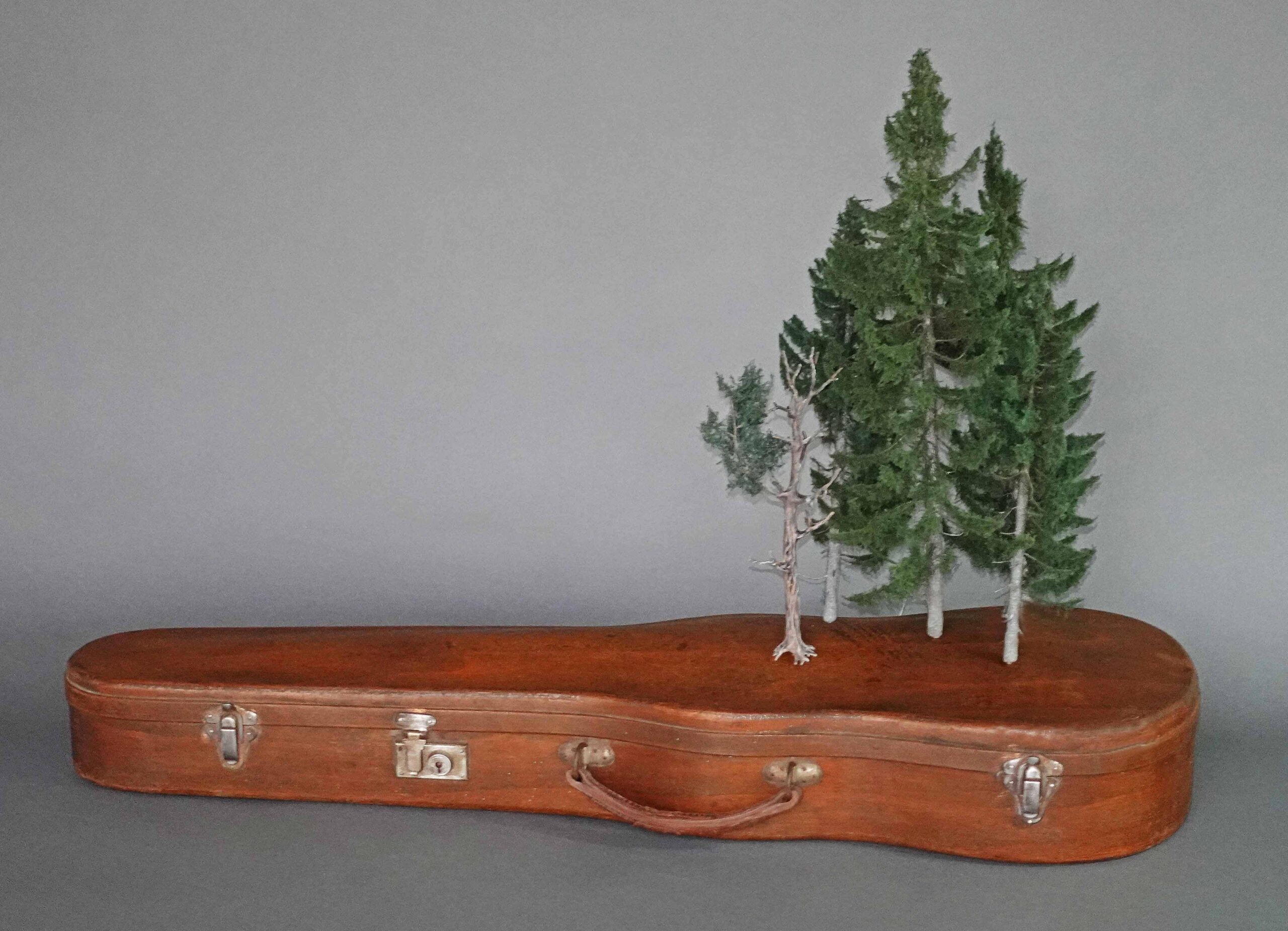 Reinhard Hölker, Violinenkoffer mit Fichten