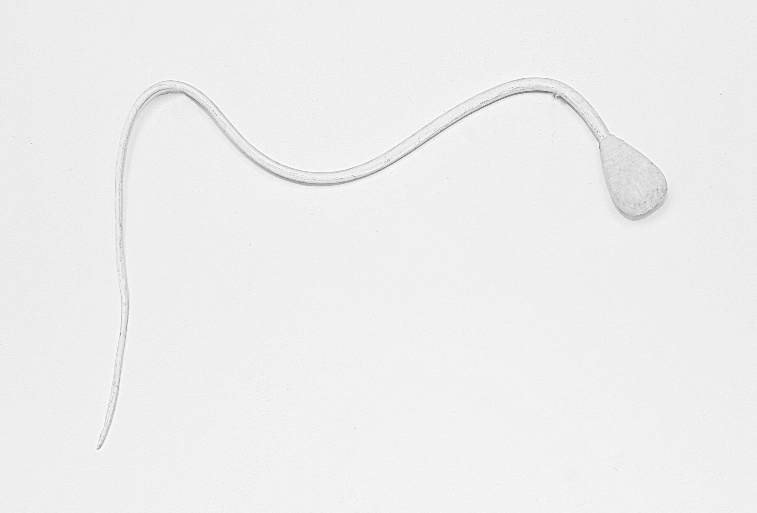 Reinhard Hölker, Dirigentenstab I